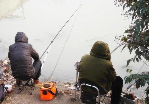 钓鱼爆料视频最新版,揭秘钓鱼技巧与陷阱 第1张 钓鱼爆料视频最新版,揭秘钓鱼技巧与陷阱 第1张